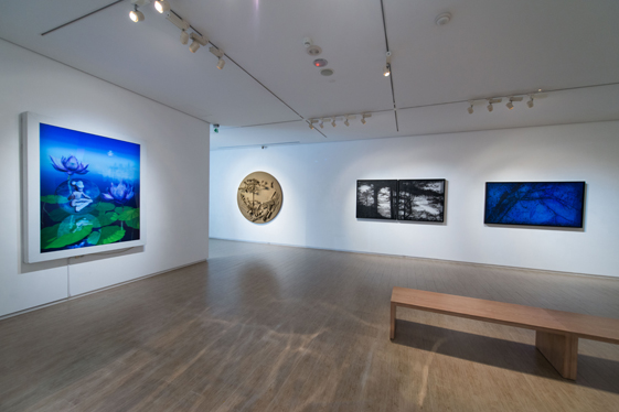 Installation view