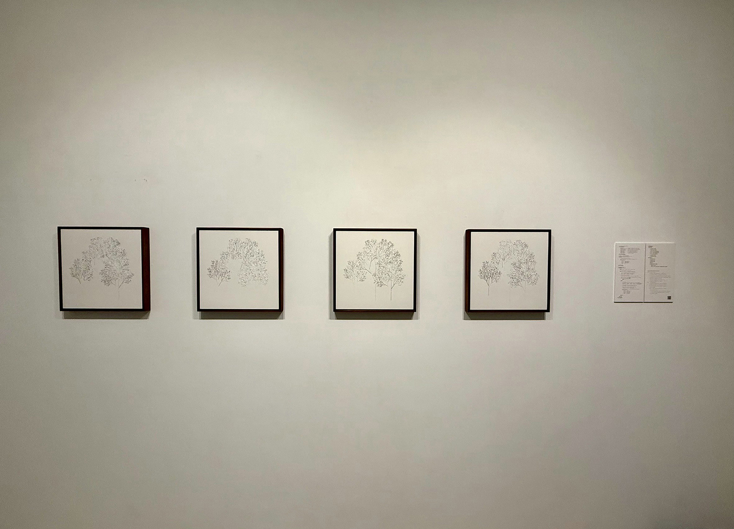 Simple Noodle Art ｜Magic Noise: How AI Wanders in the Latent Space