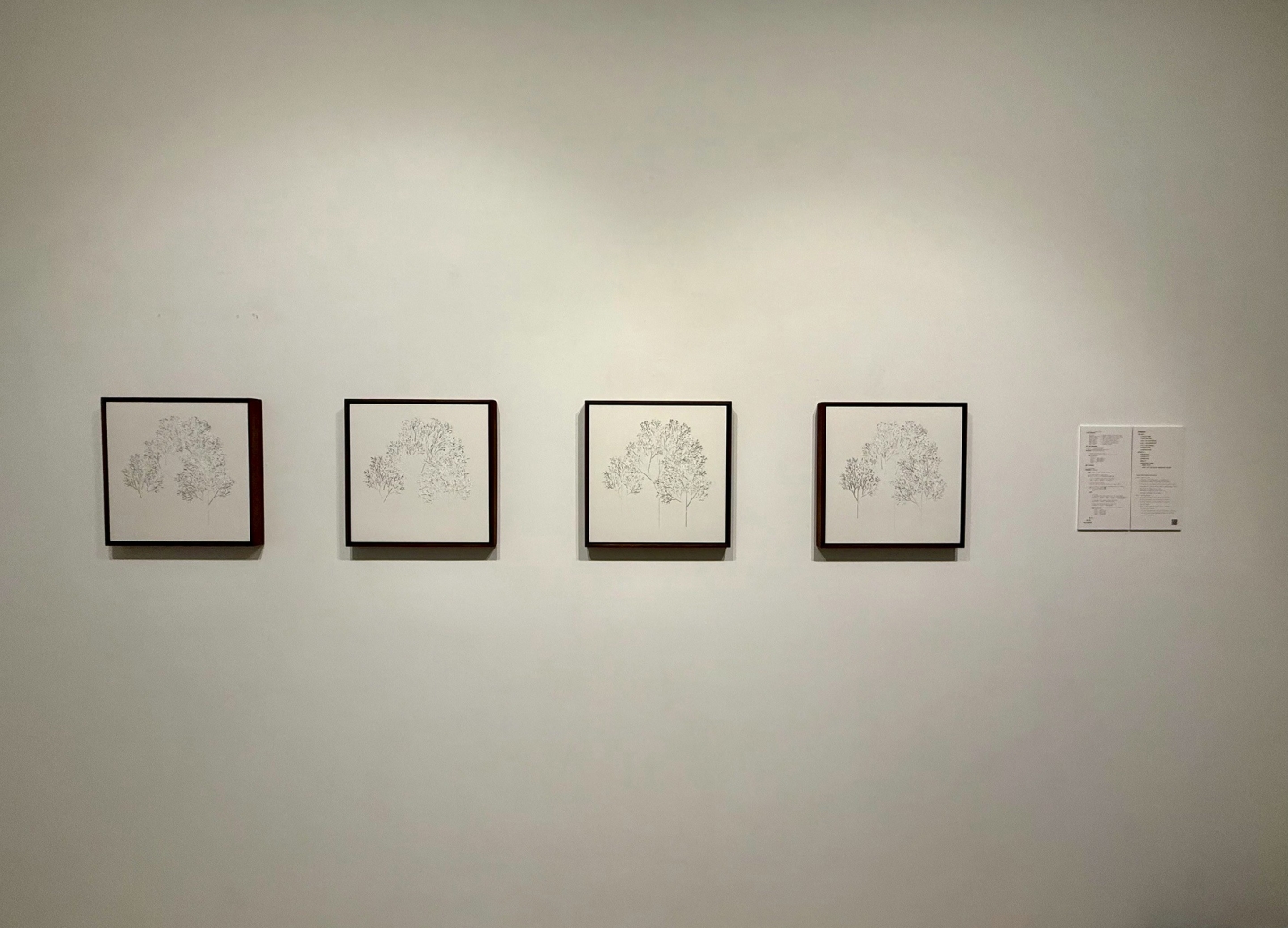 陽春麵研究舍｜神奇的雜訊︰AI的潛在漫步方式