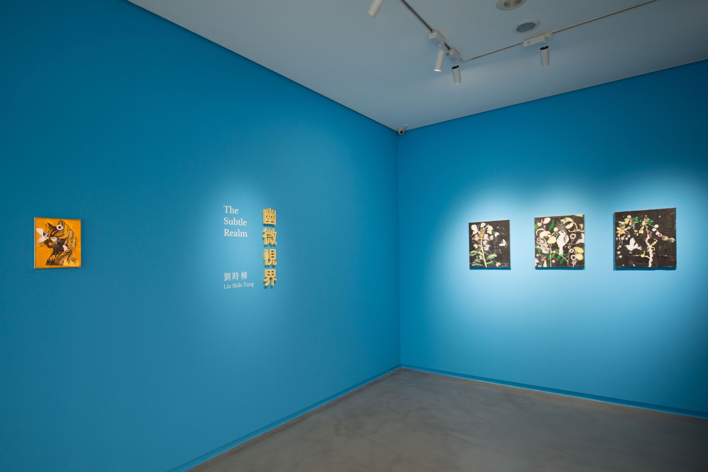 劉時棟｜幽微視界