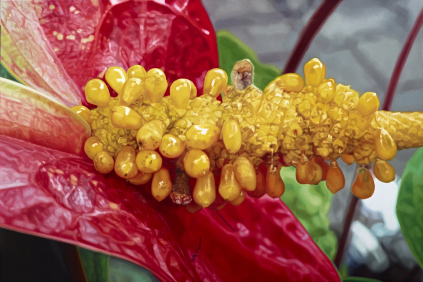 Flamingo Flower