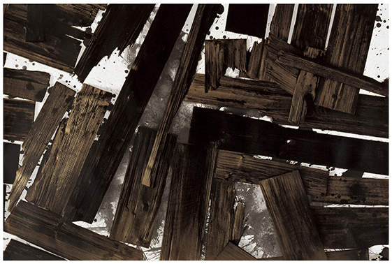 Wang Huaiqing｜Black Charcoal in the White Snow 3