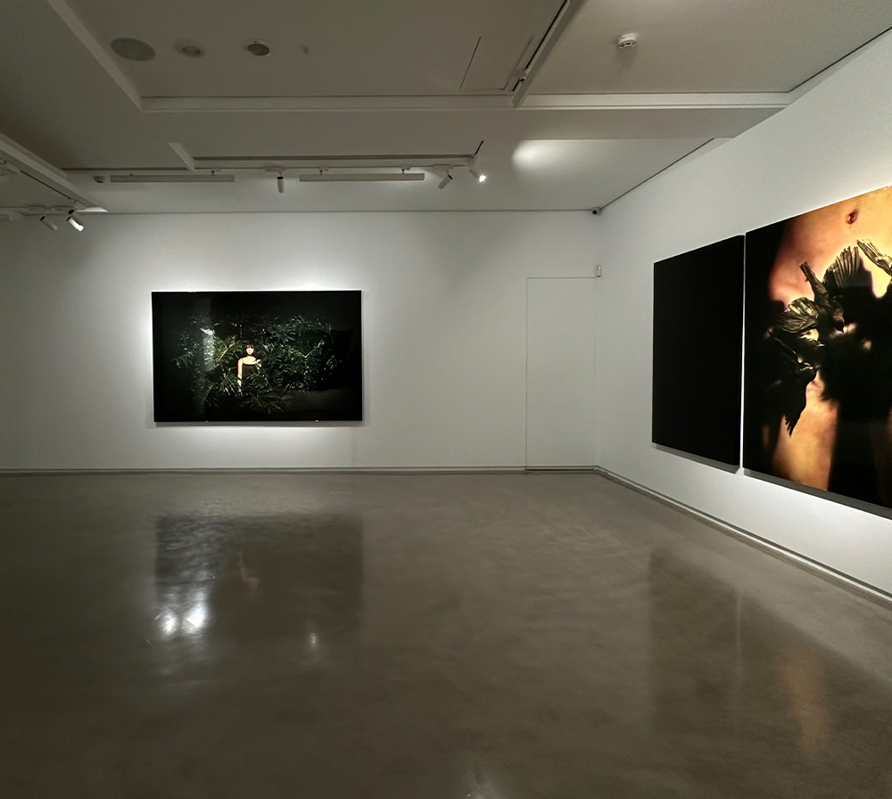 Tseng Guan-Shiung｜Portrait of a Woman in the Wilderness