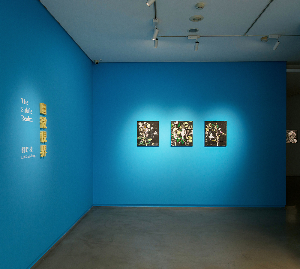 劉時棟｜幽微視界